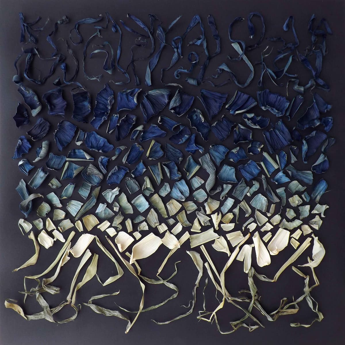 Art Title TESSERACT-UNIVERSE GEOMETRY#1